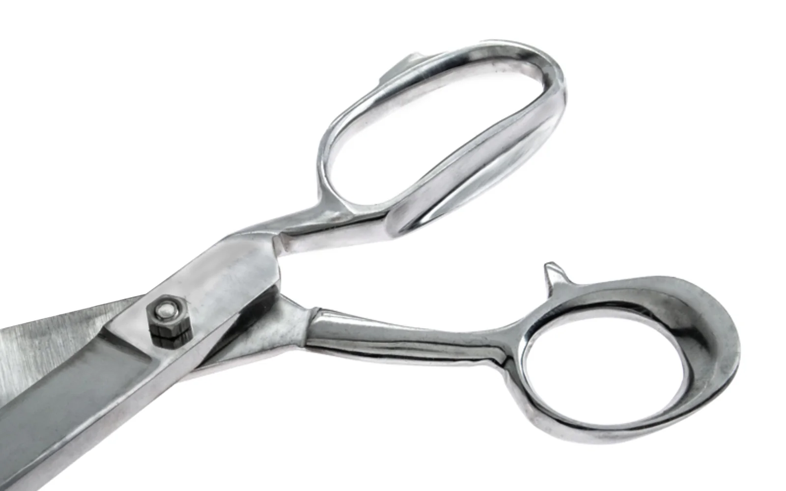12" Stainless Heavy Duty Scissors - Image 3