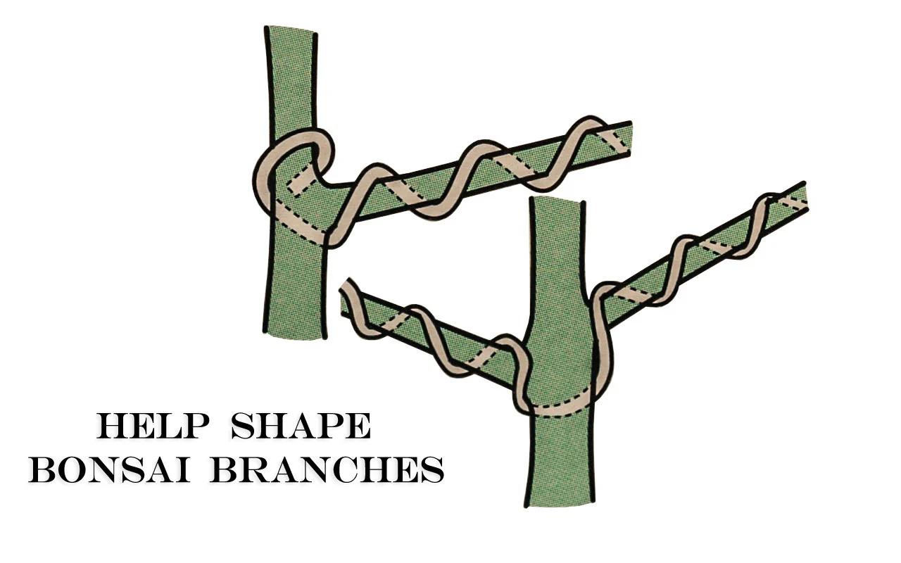 Bonsai Wire ~ 3 mm Diameter - 17' Length - Image 4