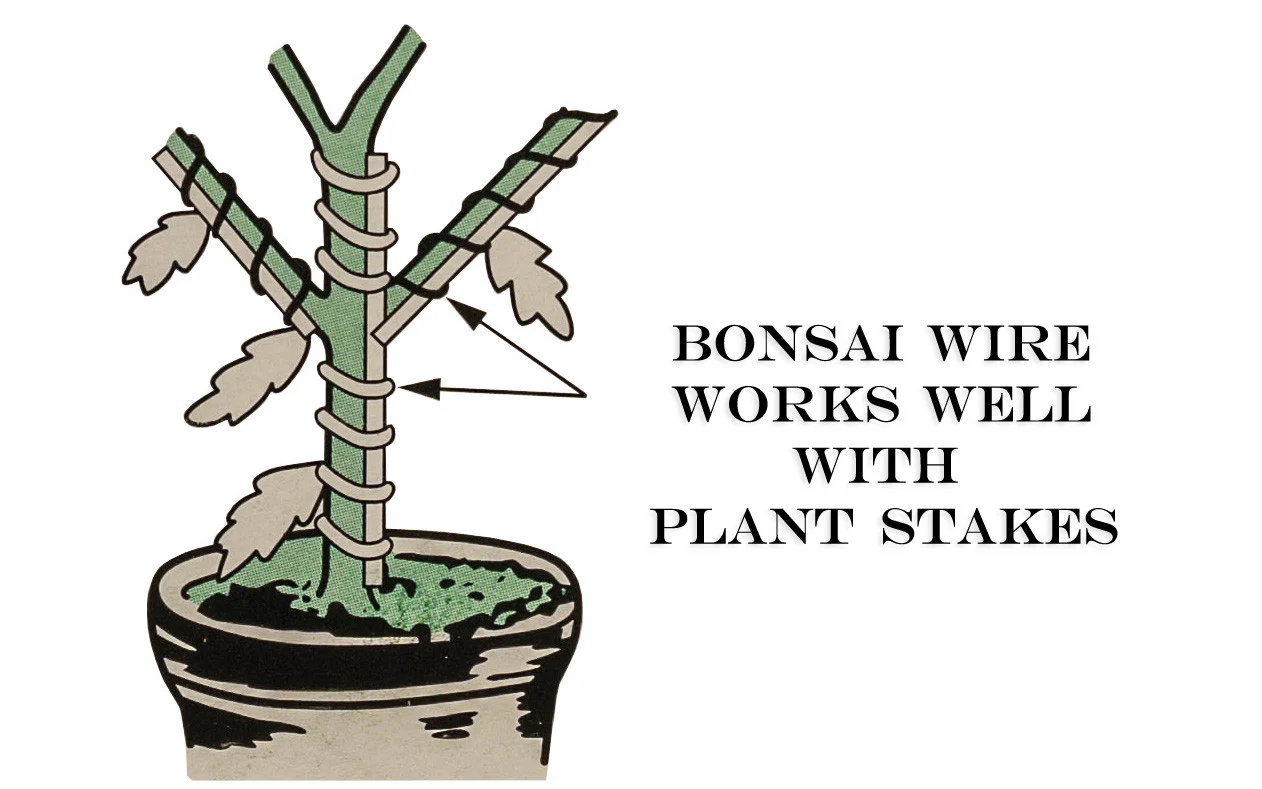 Bonsai Wire ~ 3 mm Diameter - 25' Length - Image 4
