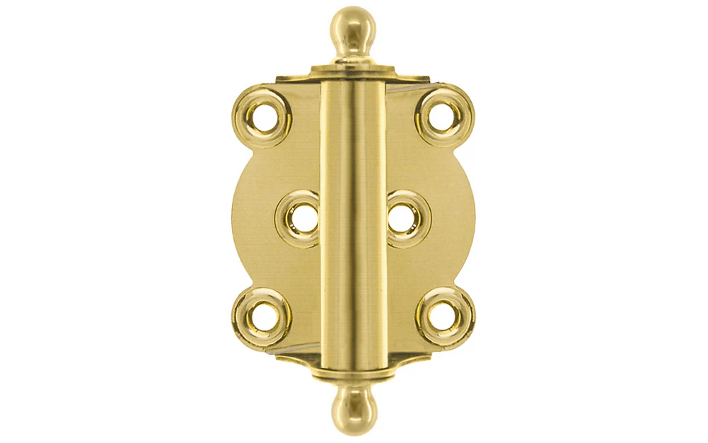 Brass Full Surface Spring Door Hinge with Ball-Tips - Image 6