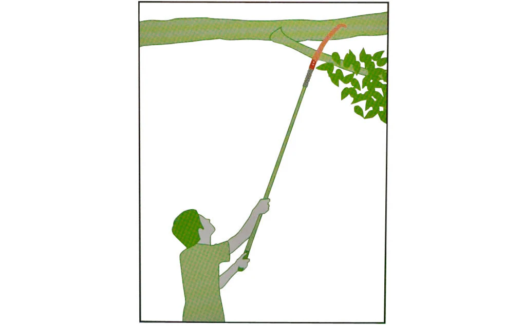 Japanese Outdoor Curved Saw with Hook - Image 6