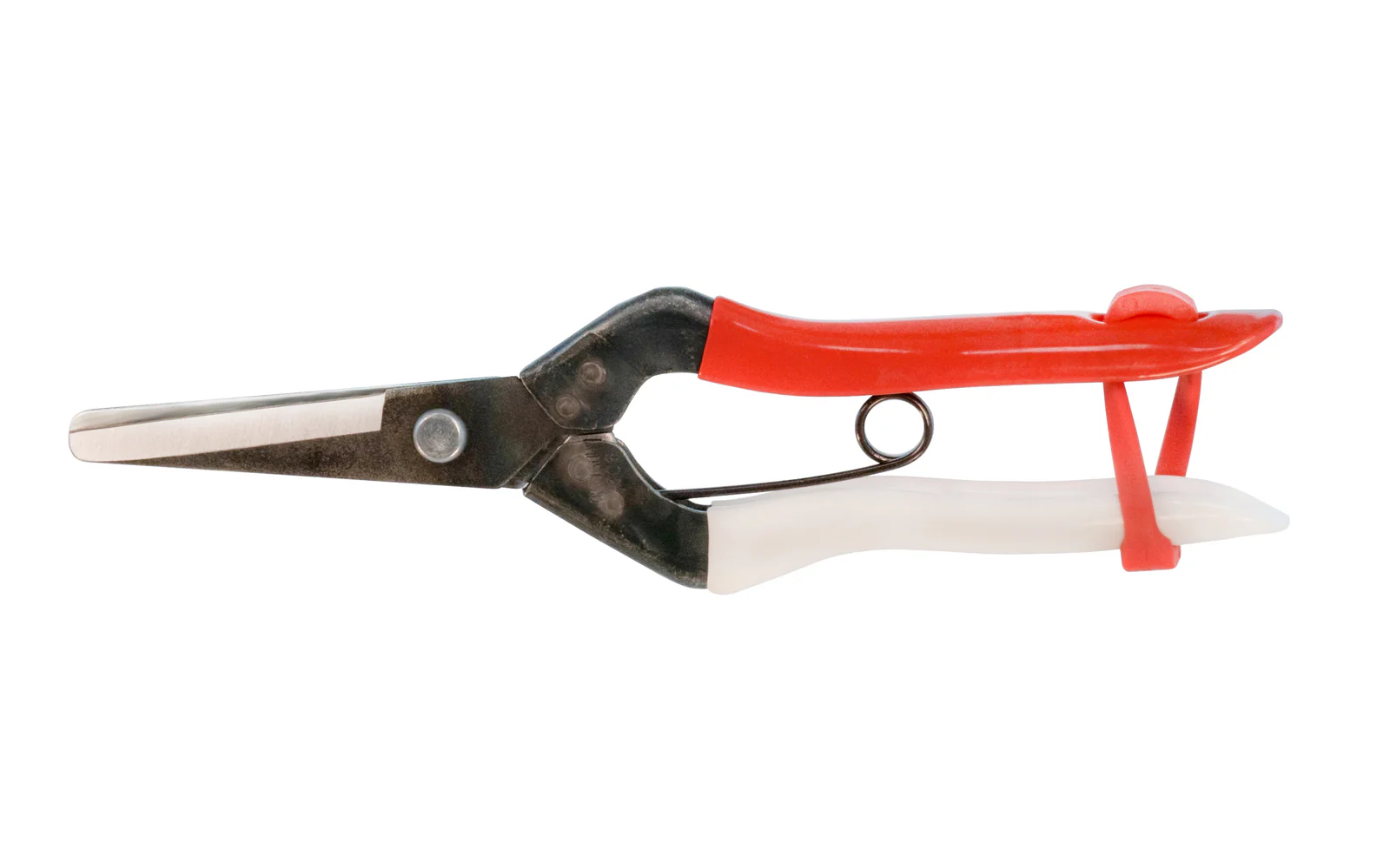 Japanese Okatsune Shears ~ No. 306 - Image 2
