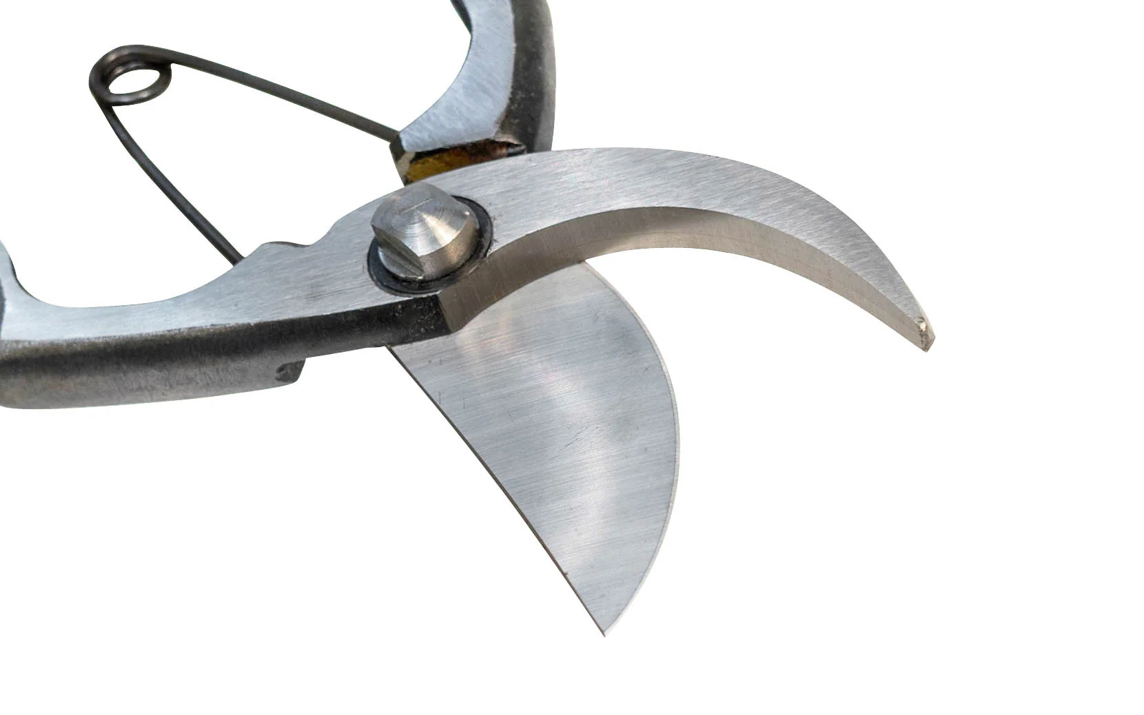 Japanese Professional Onoyoshi Forged Pruners - Image 4