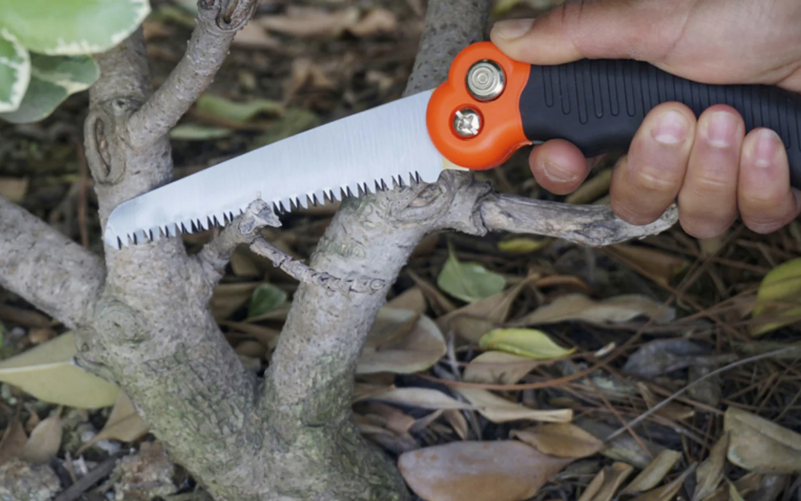 Small Foldable Camping Saw - Image 3