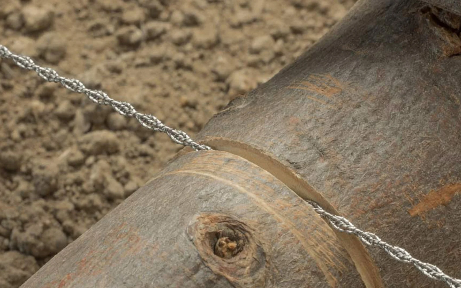 Stainless 24" Wire Saw - Image 3