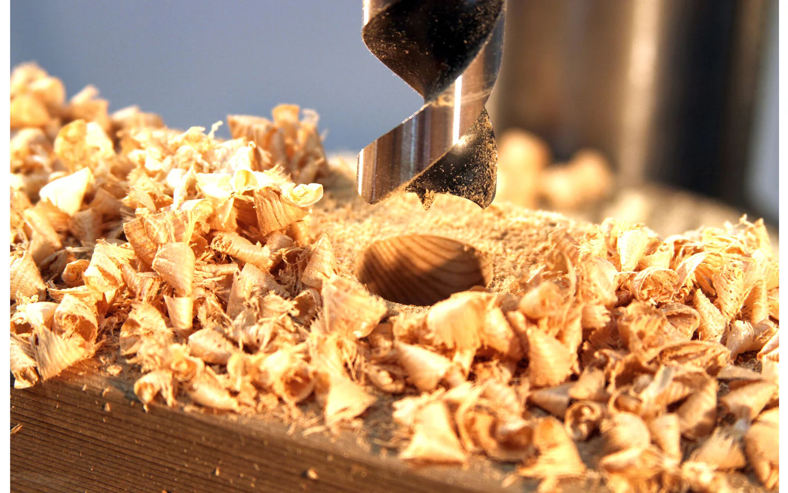 Wood Owl 1-1/4" OverDrive Fast Boring Bit - Image 3